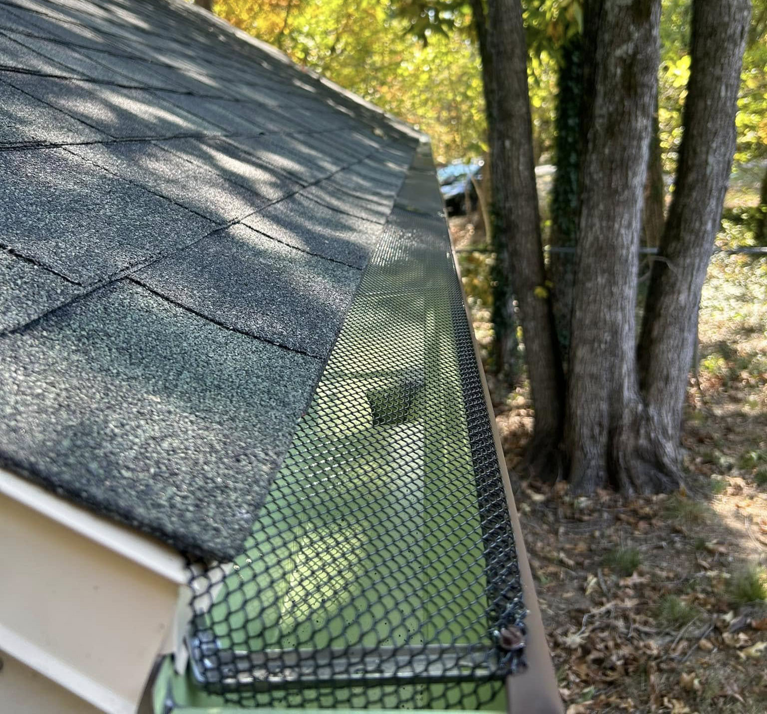 Clean Gutters Help Protect Soffit & Fascia