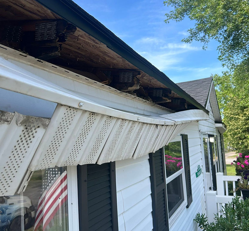 Fascia Damage Can Affect Your Gutters