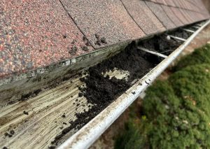 Gutter Cleanouts - background