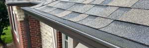 Gutter Guards & Leaf Guards